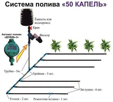 Советы по настройке капельного полива