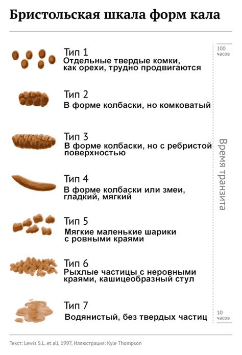 Советы по определению глистов по калу