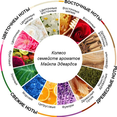 Советы по подбору и сочетанию ароматов