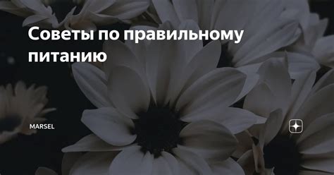 Советы по правильному включению