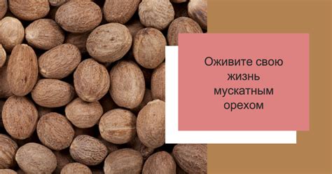 Советы по приготовлению и использованию