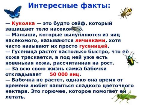 Советы по созданию удобных условий для жуков в саду или огороде