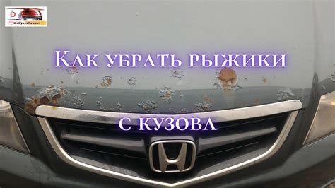 Советы по удалению рыжиков с автомобиля