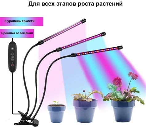 Советы по укладке ребенка с соучорезом и использованию фитолампы