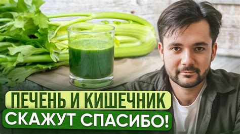 Советы по употреблению сока сельдерея для улучшения состояния кожи и волос