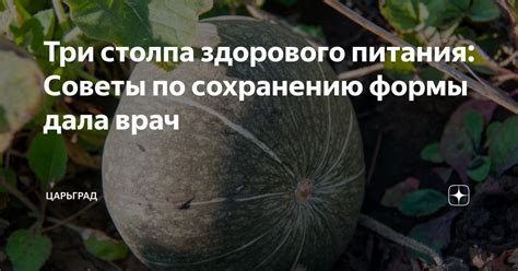 Советы по уходу и сохранению формы