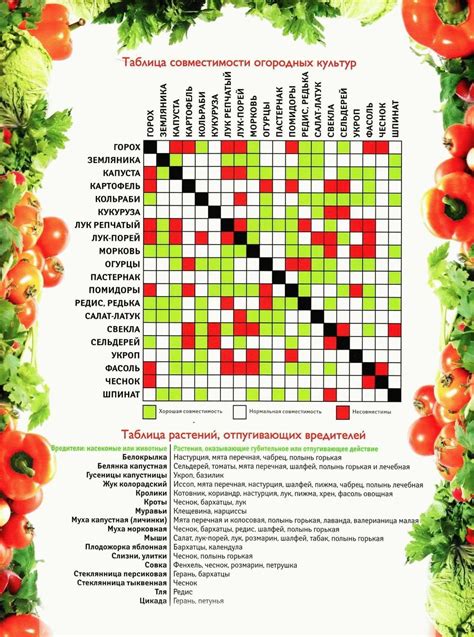 Совместимость растений