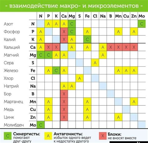 Совместимость селена и железа при приеме