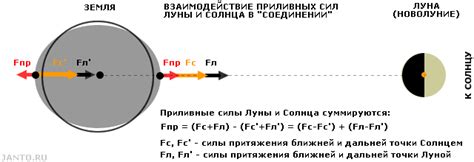 Совместное влияние гравитационных сил