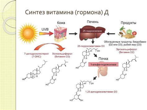 Совместное применение витамина D и витамина C