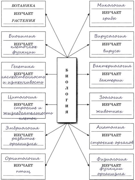 Современная биология: комплексность и многообразие наук