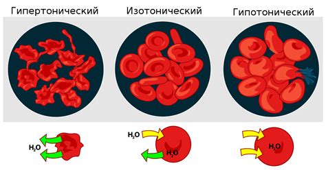 Современные методы измерения осмоляльности крови