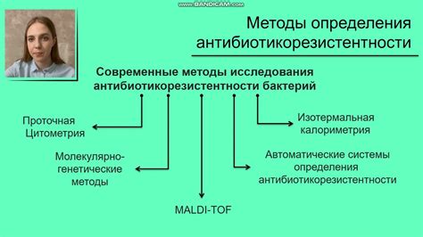 Современные методы определения имени домового