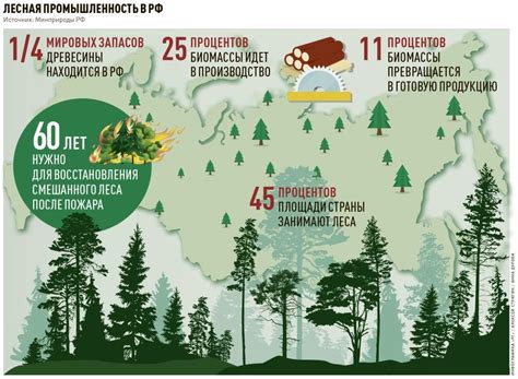 Современные тенденции и проблемы лесной отрасли Японии