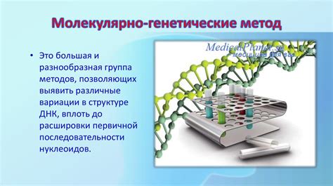 Современные технологии соединения ДНК разных животных