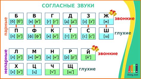 Согласные звуки после шипящих