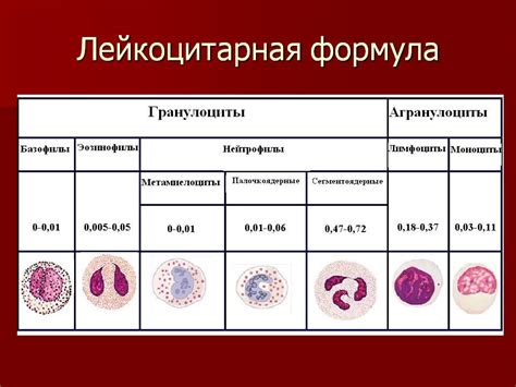 Содержание крови