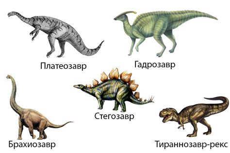 Соединение деталей основы динозавра