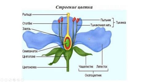 Соединение элементов цветка: