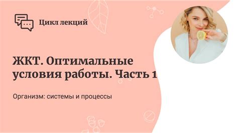 Создайте оптимальные условия для работы