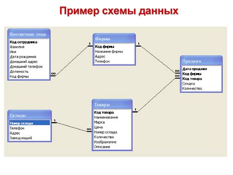 Создание базы данных для ТДЖу