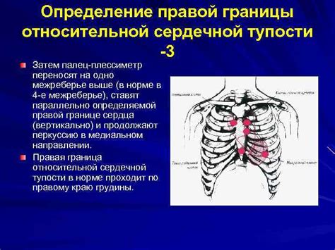 Создание границ сердца