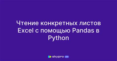 Создание датасета на Python с помощью Pandas