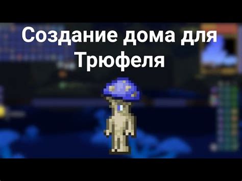 Создание дома для трюфеля в террариуме: