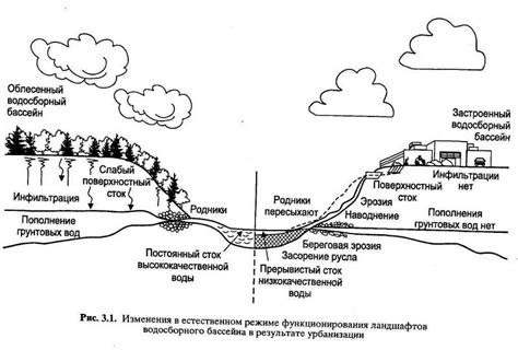 Создание естественного ландшафта в террариуме: основные идеи и руководства