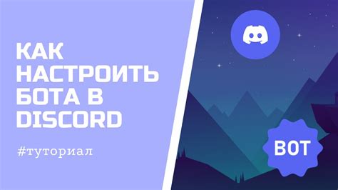 Создание команд и функций для бота