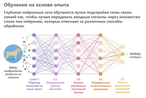 Создание нейронной сети