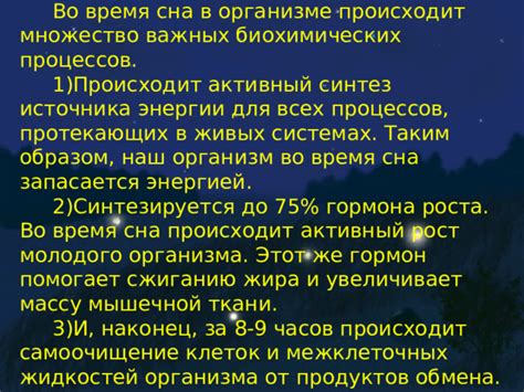 Создание оптимальных условий для восстановления энергии во время сна