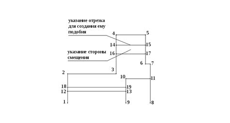 Создание основного контура пни