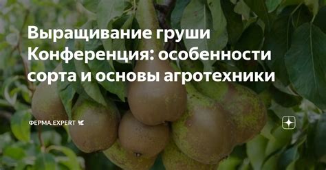 Создание основы груши