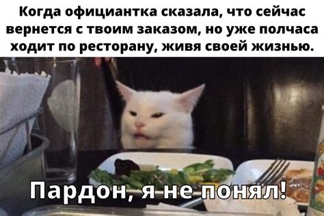 Создание основы кота