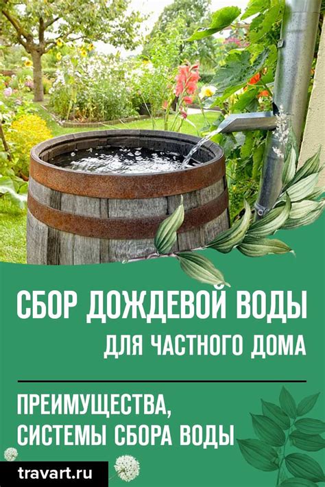 Создание системы для сбора и сохранения воды