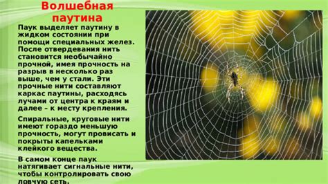 Создание специальных видов паутины: красной и слабой