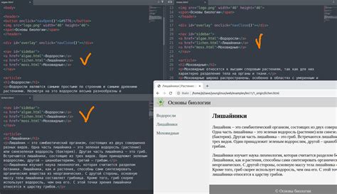 Создание ссылки на страницу ВКонтакте с использованием HTML-кода