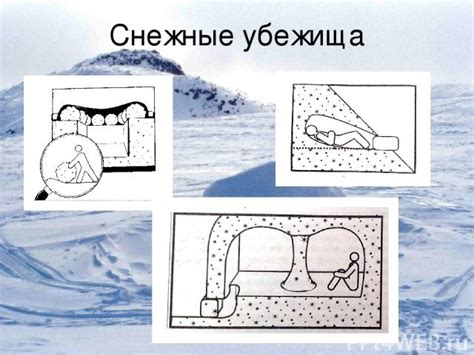 Создание убежища для потомства