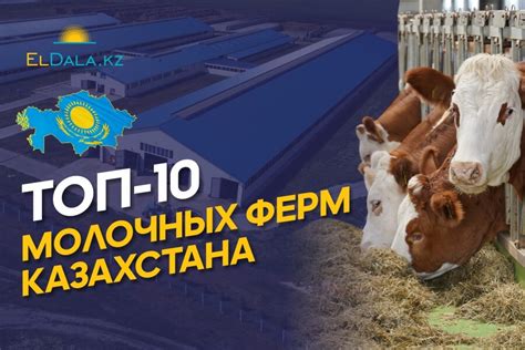 Создание ферм и обеспечение достаточной продуктивности