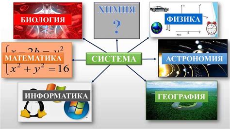 Сокращение объема пищи накануне стерилизации