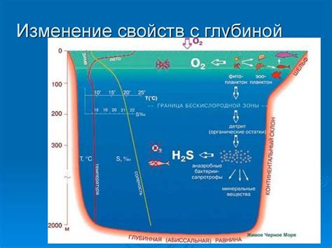 Соленость морской воды и ее взаимодействие с светом