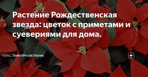 Соль ассоциируется с приметами и суевериями