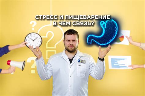 Сон и пищеварение: связь исследований