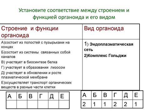 Соответствие и особенности