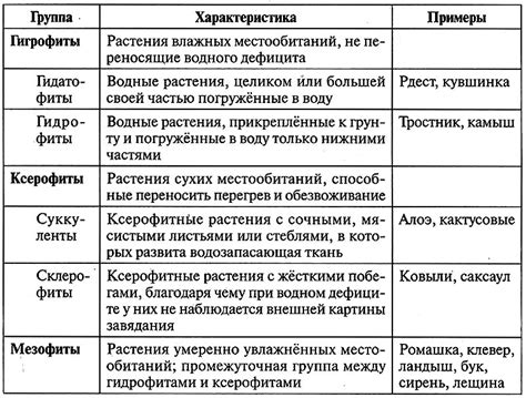 Соответствие никнейма тематике группы