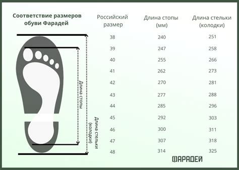 Соответствие обуви сезону