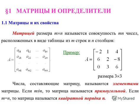 Составляющие моторамы и их свойства