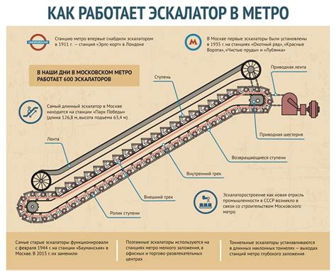 Составляющие эскалатора