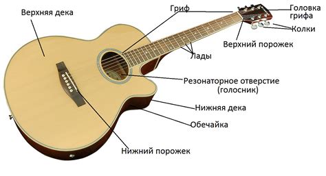 Составные части тюнера для гитары: что нужно знать?